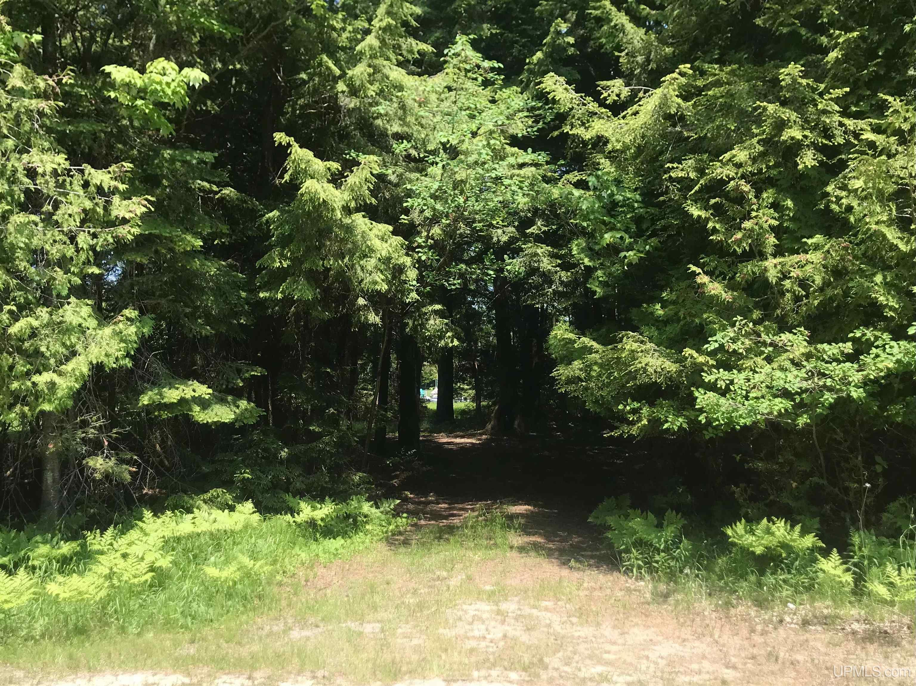 686 North Co Road Manistique, MI 49854 - Photo 11 of 11