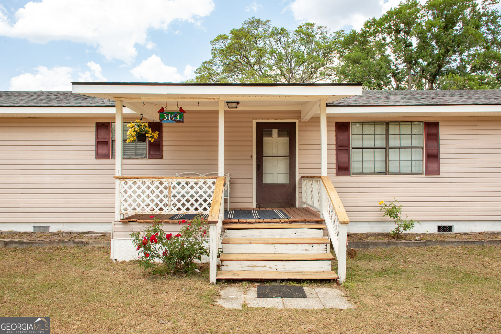 3113 Ware Street Blackshear, GA 31516 - Photo 3 of 54