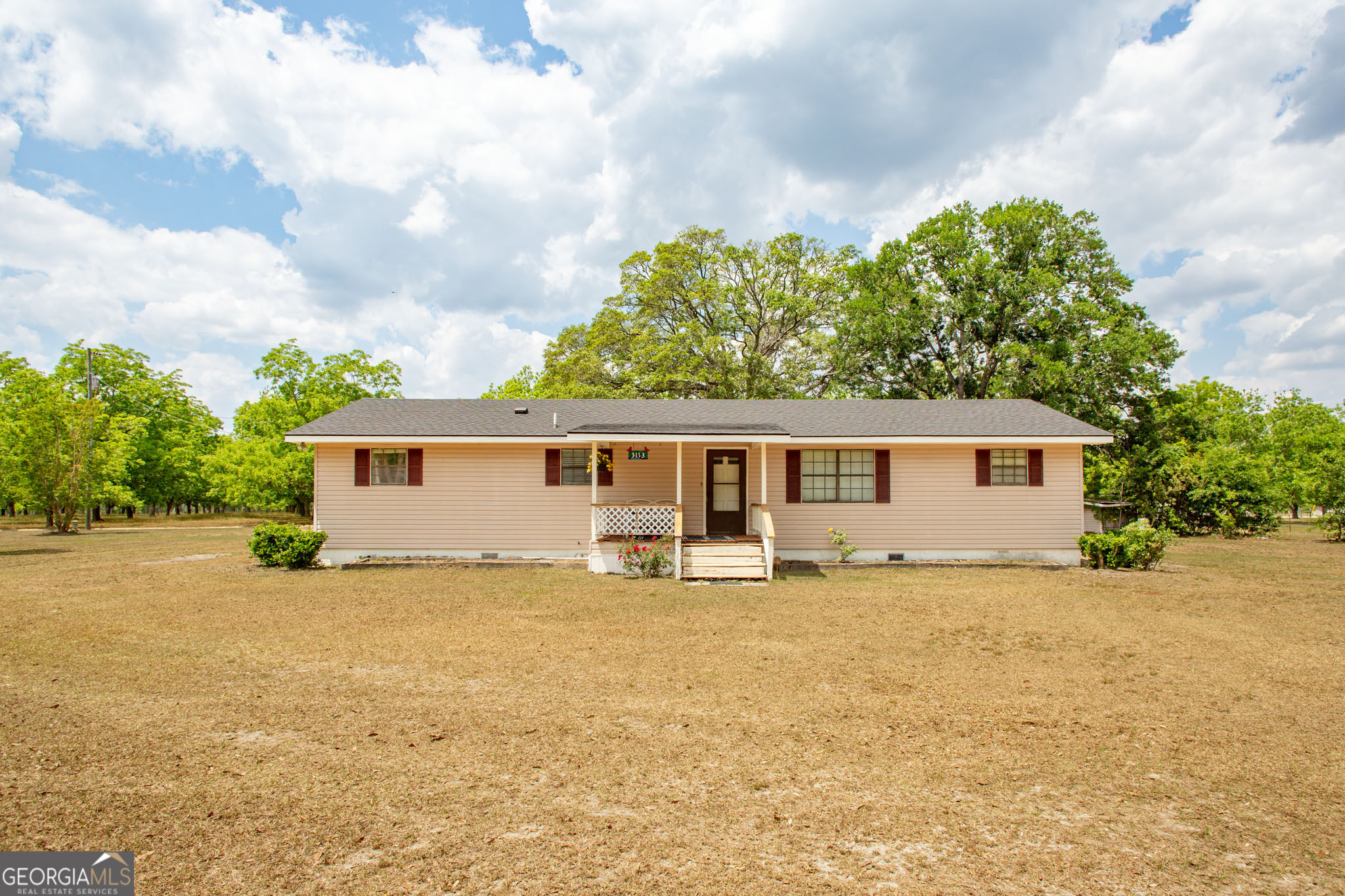 3113 Ware Street Blackshear, GA 31516 - Photo 5 of 54