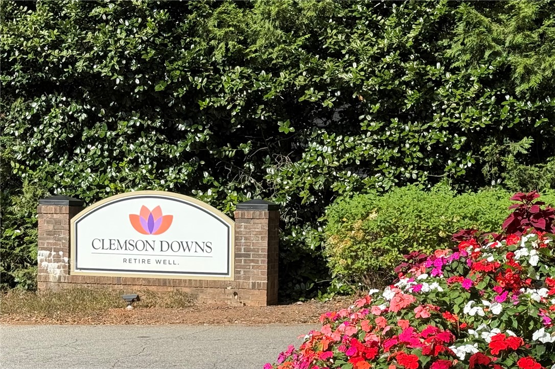 600 Downs Loop Clemson, SC 29631 - Photo 38 of 42 Community Entrance