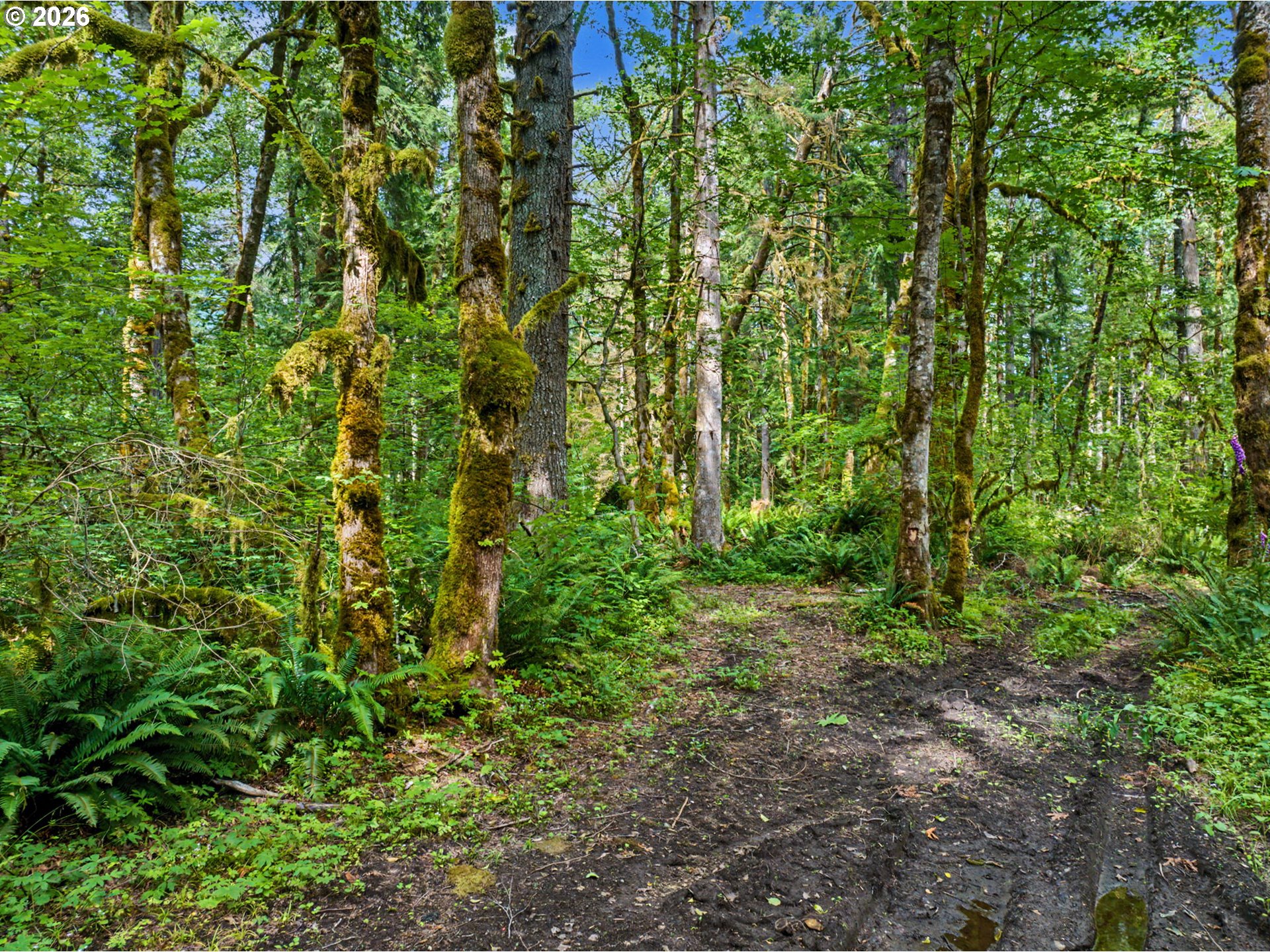 64601 East Brightwood Loop Road Brightwood, OR 97011 - Photo 40 of 48