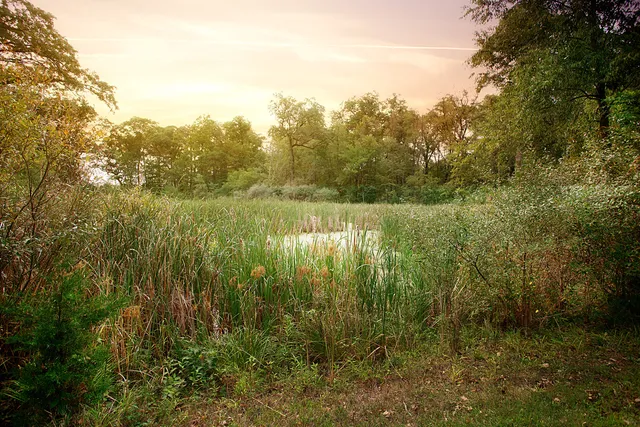 $97,500 | 3719 167th Avenue, Lowell, IN 46356