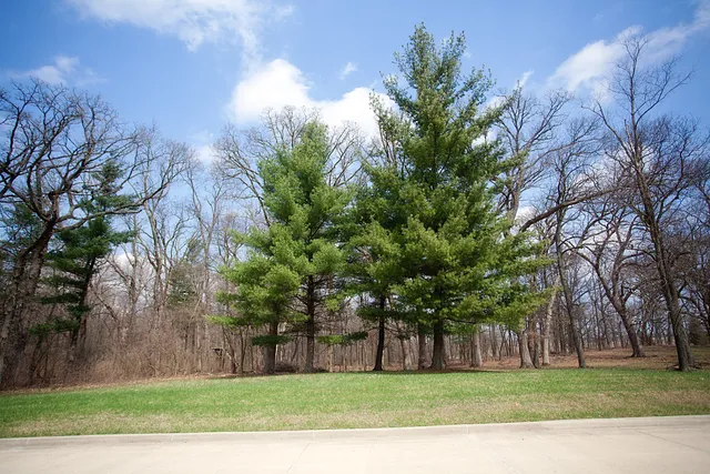 $97,500 | 3719 167th Avenue, Lowell, IN 46356