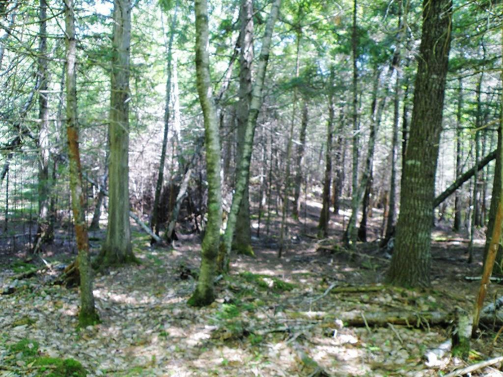 72 West Old Main Road Burlington, ME 04417 - Photo 15 of 17 Photo