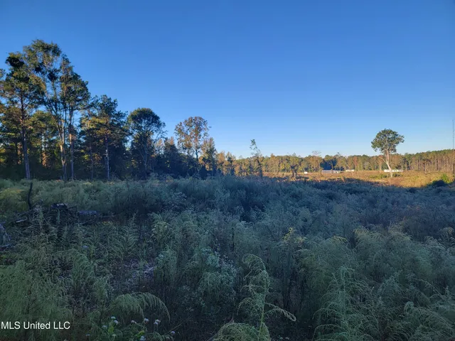 $30,000 | Haralson Lane, Forest, MS 39074
