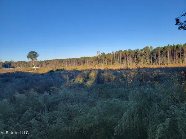 $25,000 | Haralson Lane, Forest, MS 39074