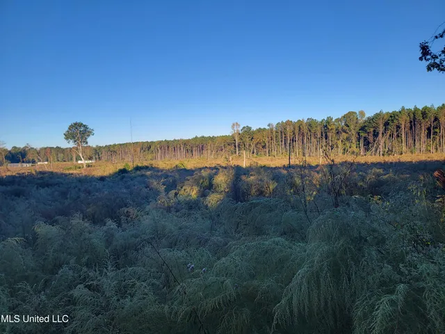 $30,000 | Haralson Lane, Forest, MS 39074