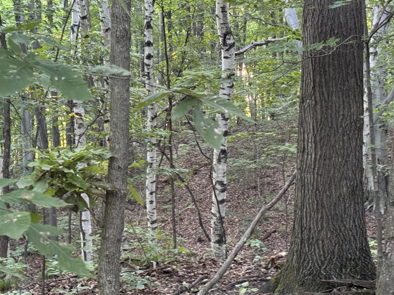 15 15 Mile Road Leroy, MI 49655 - Photo 8 of 14