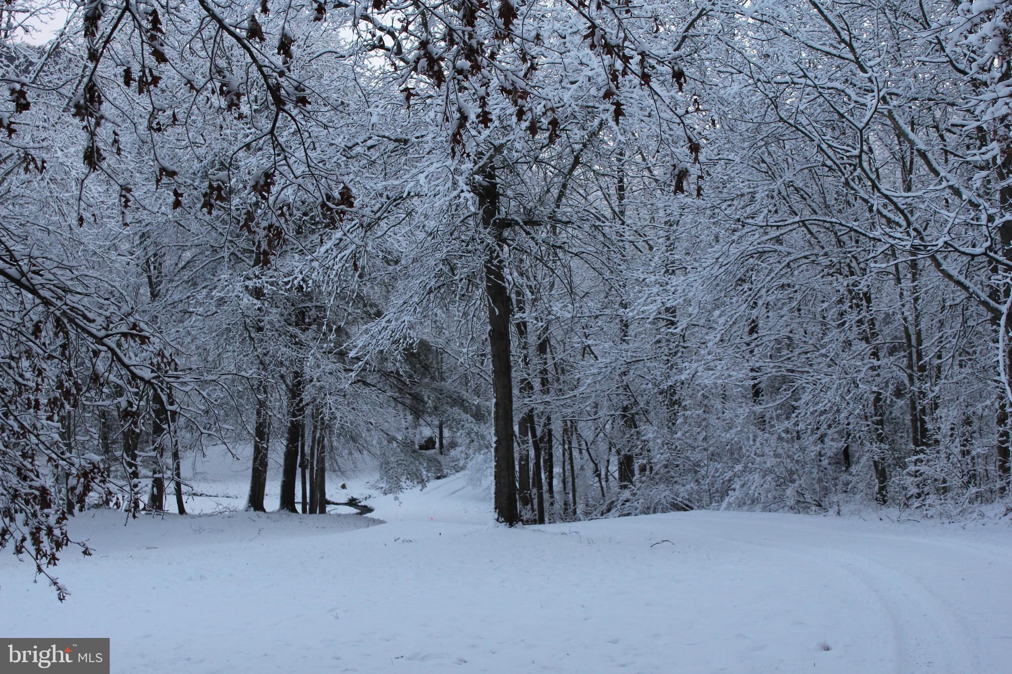 5224 Dixons Mill Road Marshall, VA 20115 - Photo 72 of 90 Seasonal Views