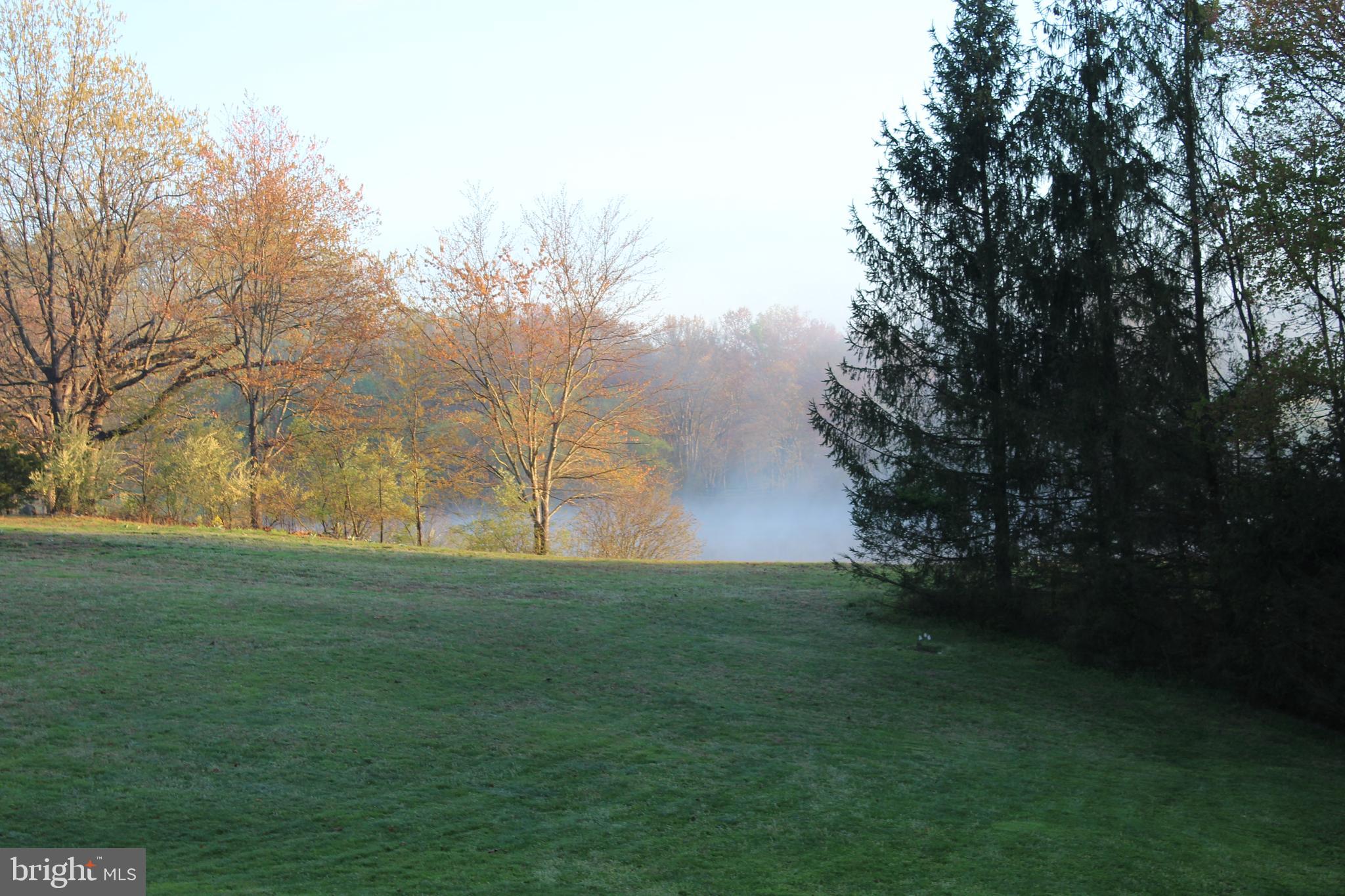 5224 Dixons Mill Road Marshall, VA 20115 - Photo 81 of 90 Seasonal Views