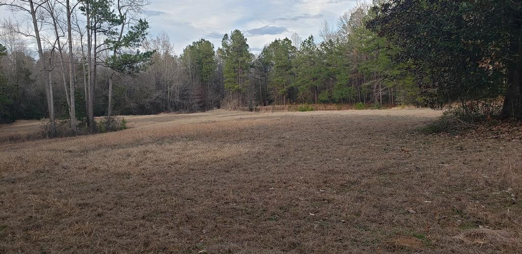 155 Wagley Road Columbia, MS 39429 - Photo 54 of 59 Photo 56