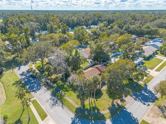 a view of a lake with a mountain and trees all around