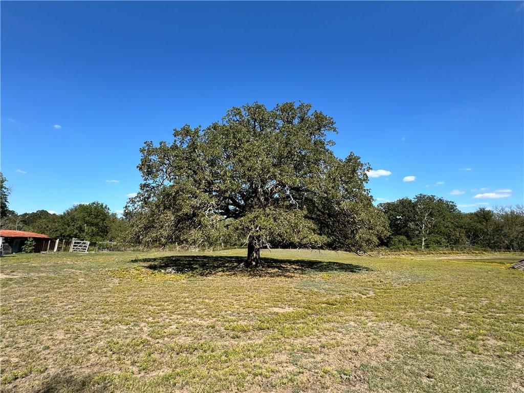 207 South Hedwig Street Riesel, TX 76682 - Photo 1 of 1 Gallery Image 1