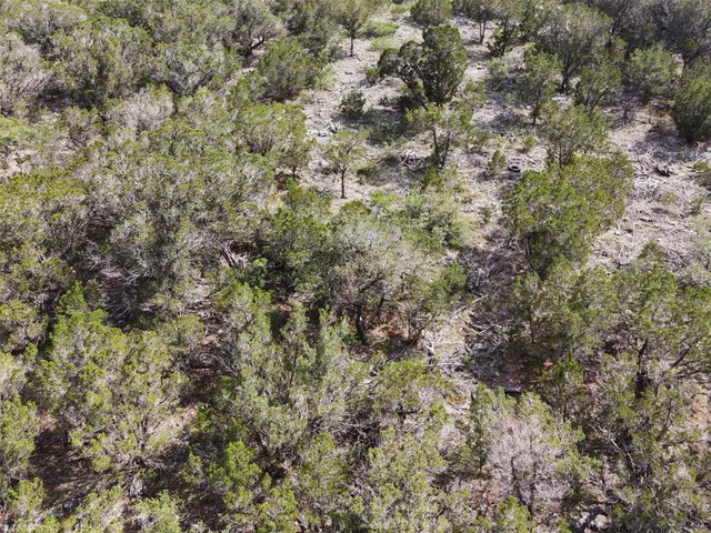 $82,500 | Tbd Tbd, Concan, TX 78838