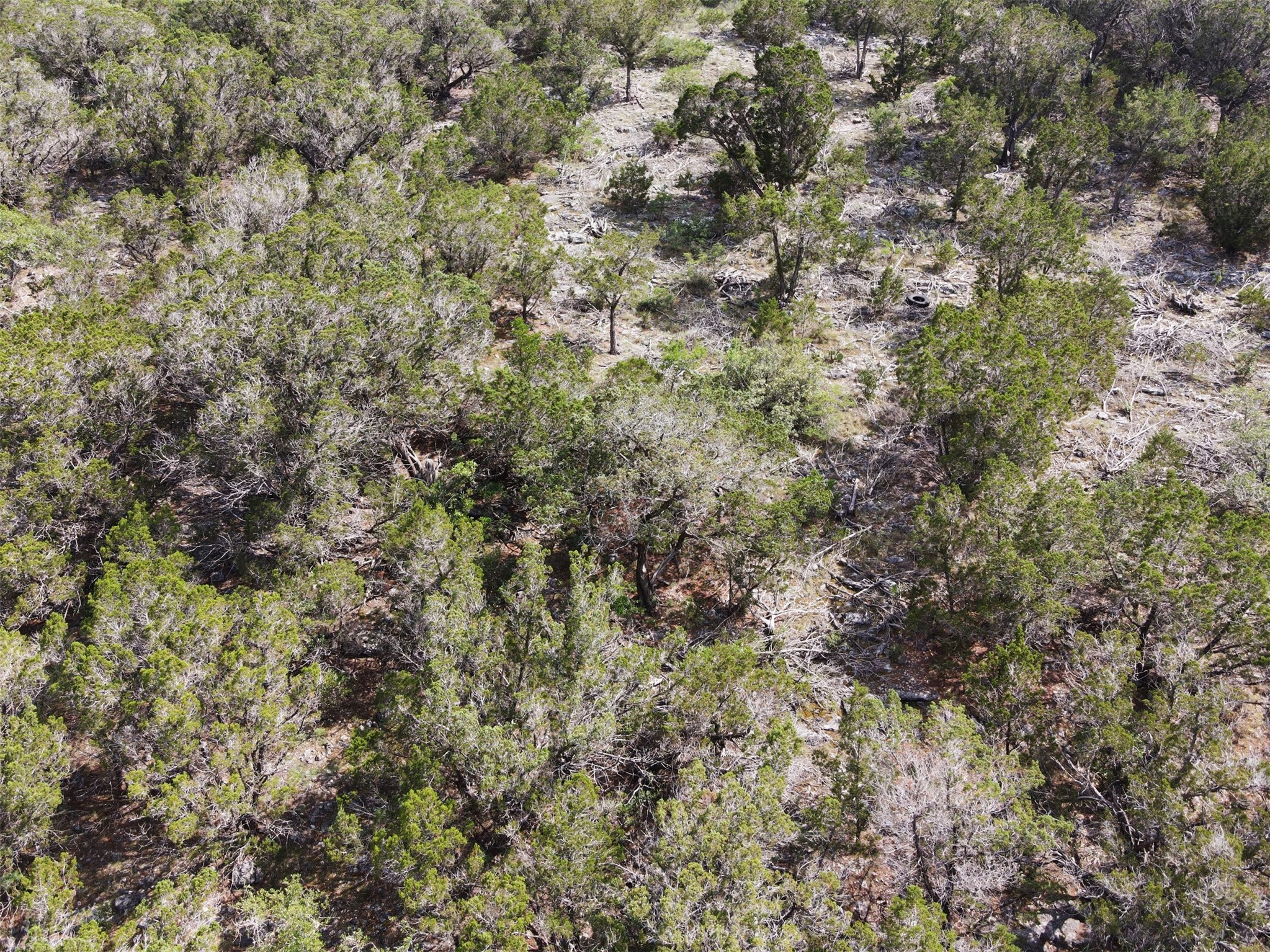 Tbd Tbd Concan, TX 78838 - Photo 6 of 14