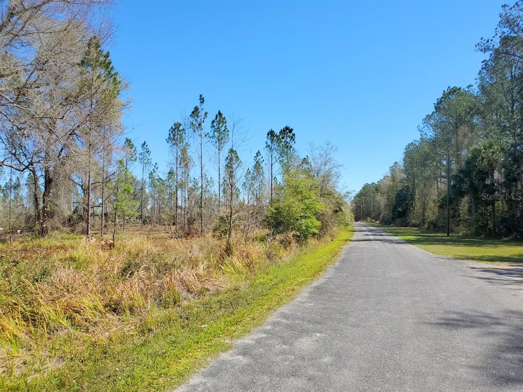 10 Northeast 150th Avenue Road Fort McCoy, FL 32134 - Photo 1 of 1