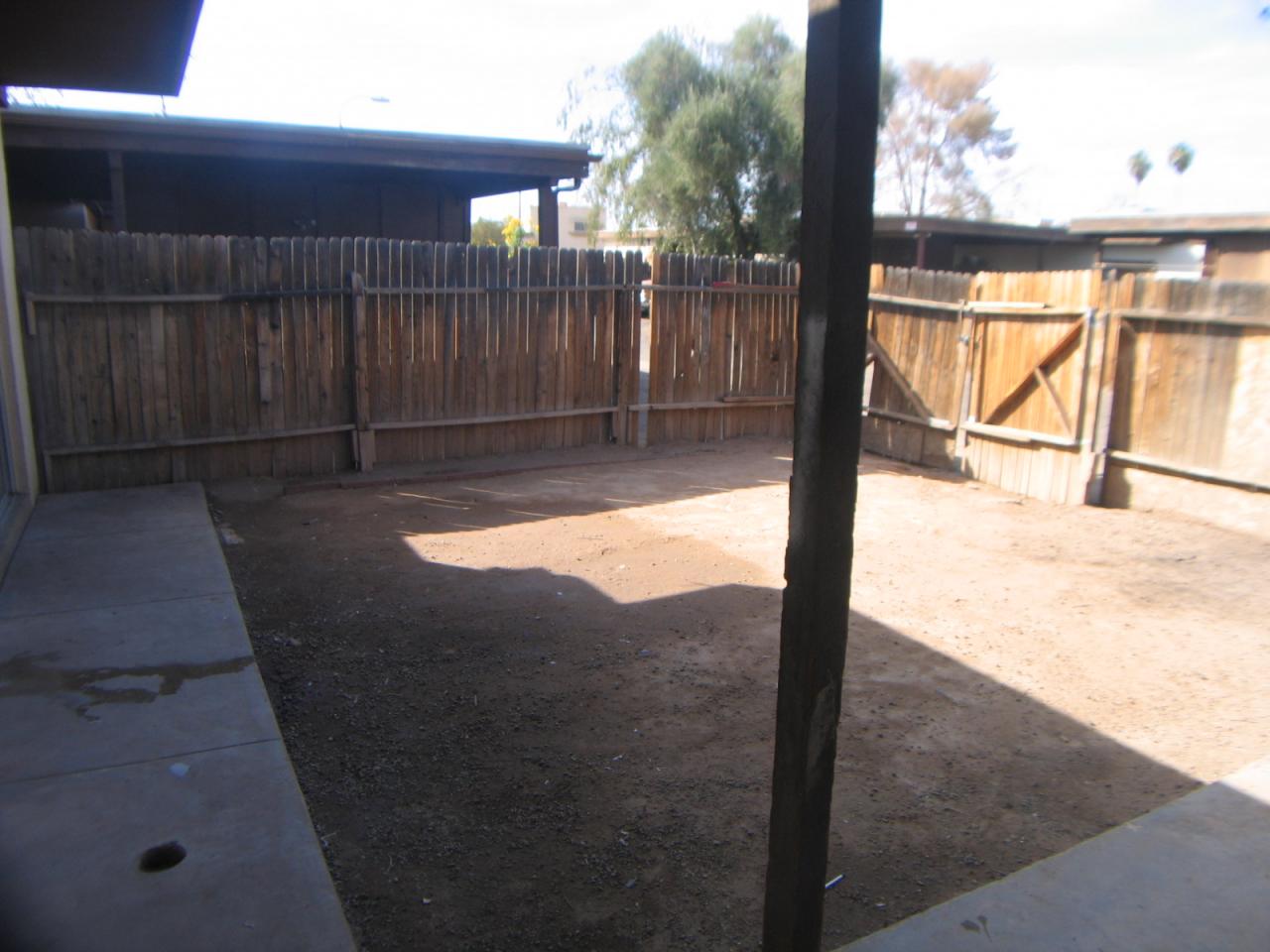 Backyard