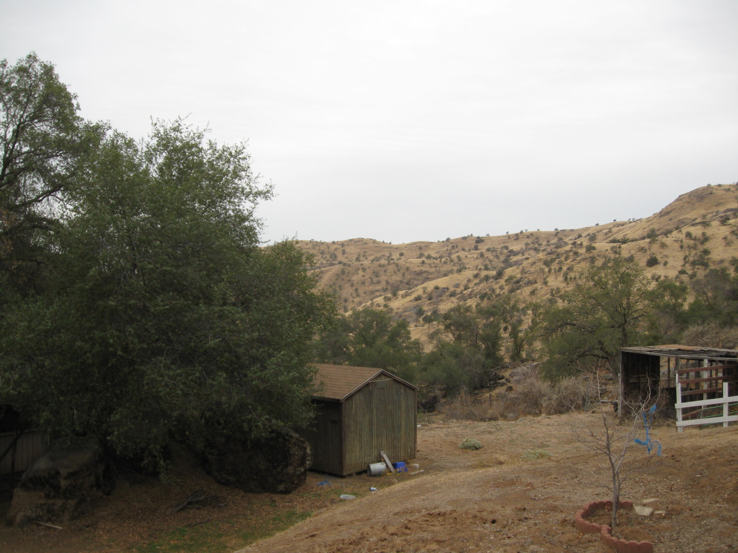35548 Hummingbird Lane Squaw Valley, CA 93675 - Photo 28 of 33 IMG_4870
