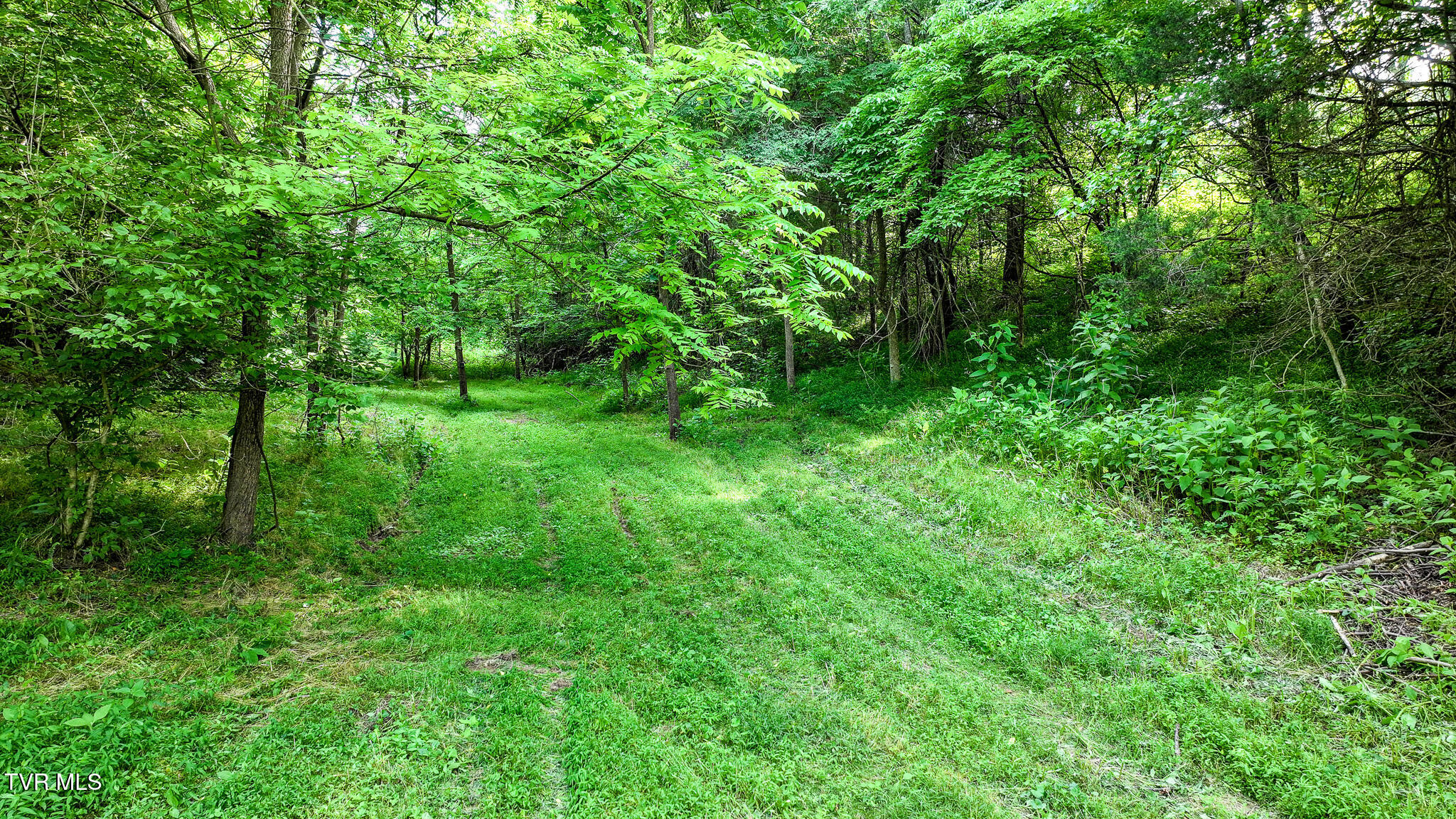 Tbd Middle Creek Road, Unit 21 Afton, TN 37616 - Photo 9 of 16 DJI_20260603024948_0571_D