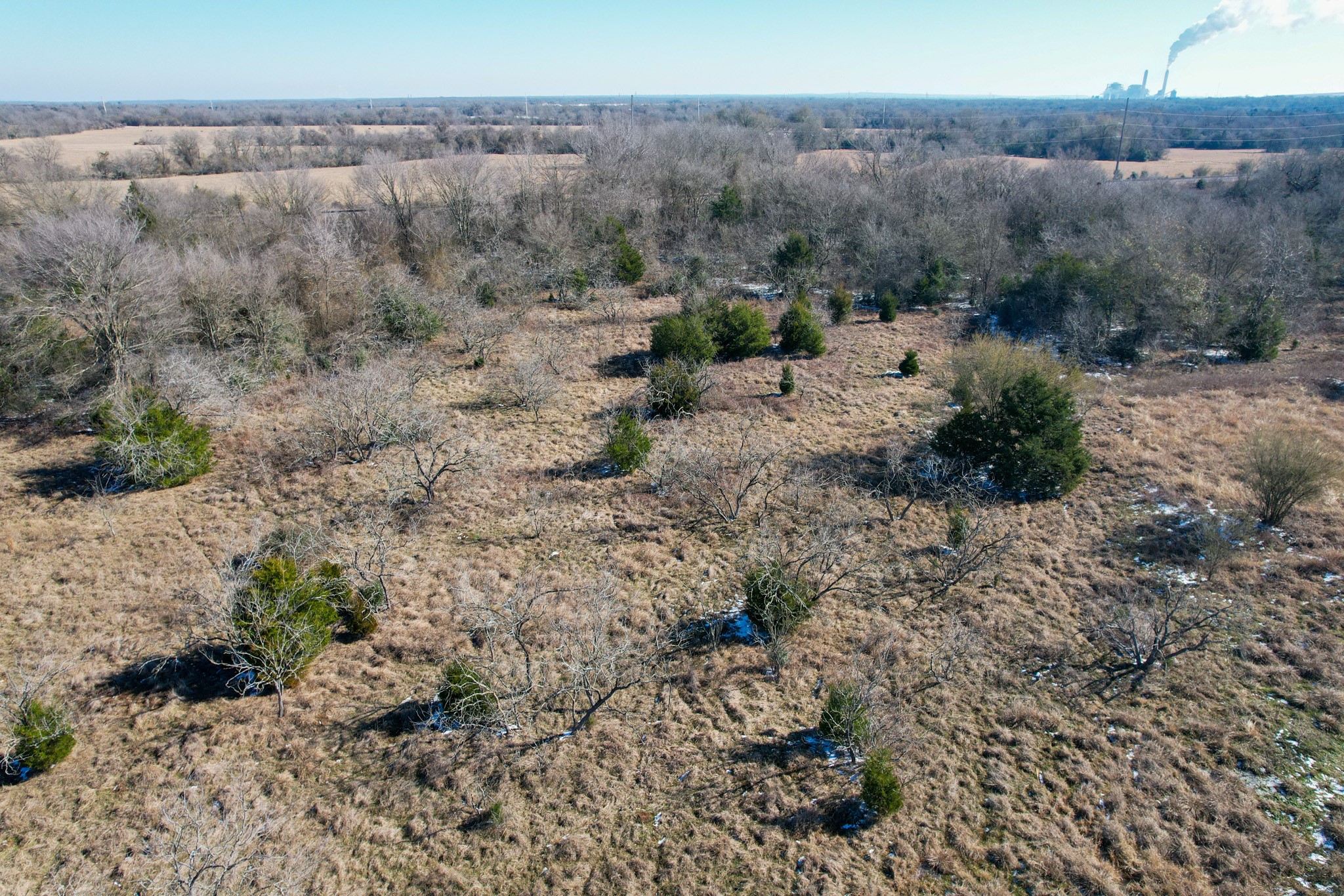 1 Prairie Grove Road Bremond, TX 76629 - Photo 20 of 24 a view of a dry field with trees in the background