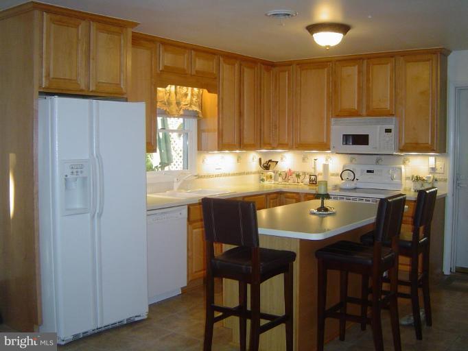 607 Prospect Road Mount Airy, MD 21771 - Photo 14 of 15 Kitchen #2
