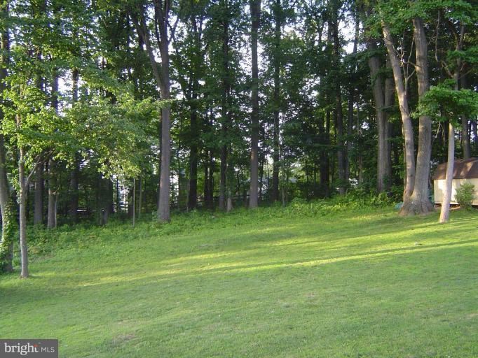 607 Prospect Road Mount Airy, MD 21771 - Photo 9 of 15 Back yard
