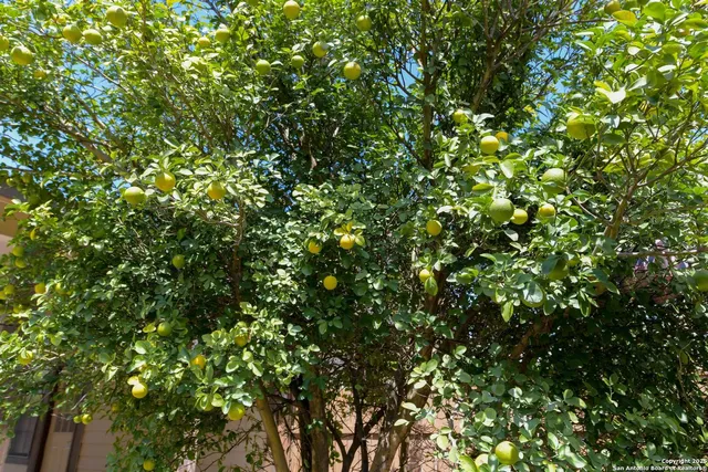 an empty room with a empty space and a window