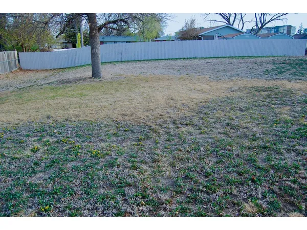 a view of a yard with an trees