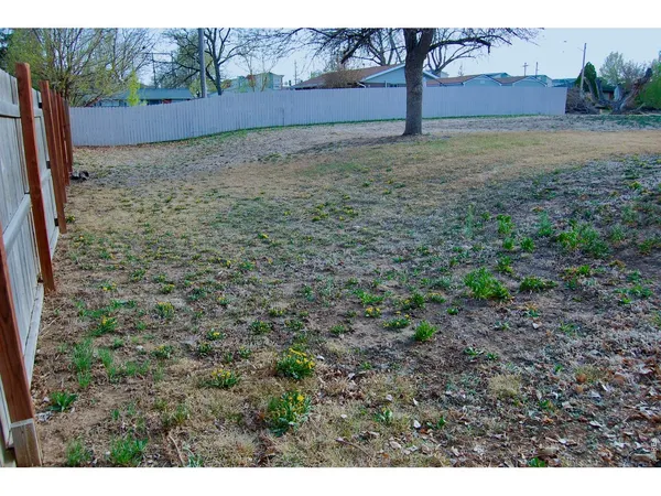 a view of dirt yard with large tree