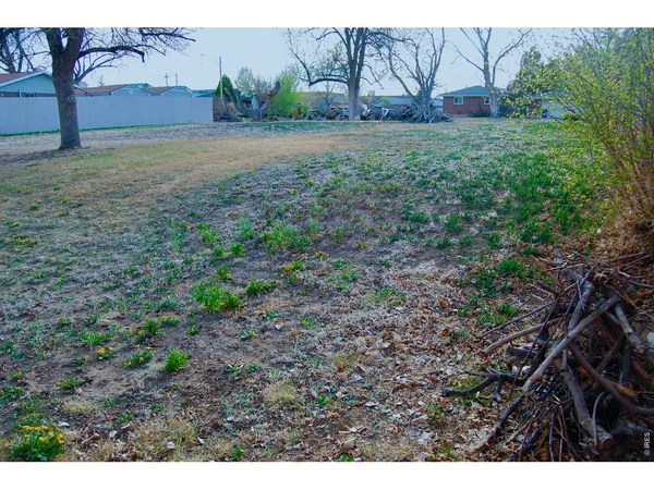 a view of house with a yard