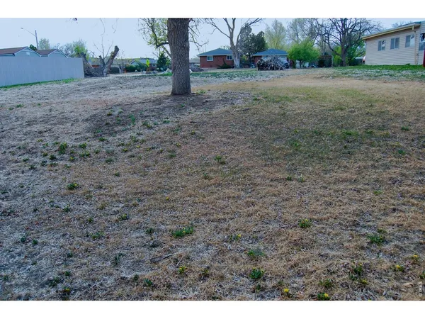 a view of backyard with green space