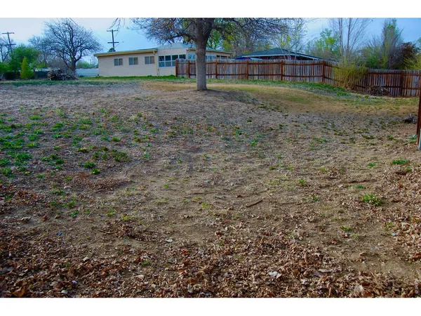 a view of backyard with trampoline