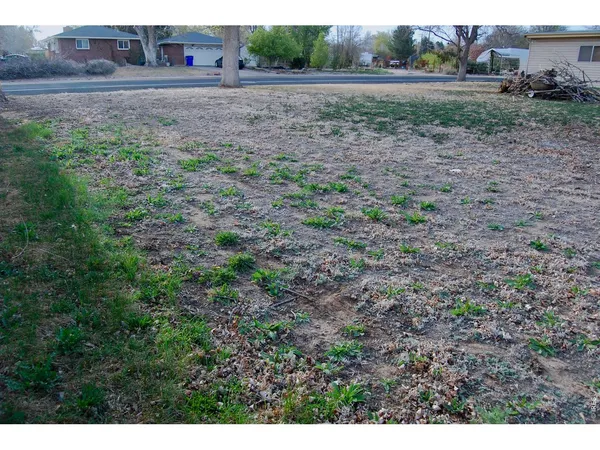 a view of a yard in front of a house with large trees