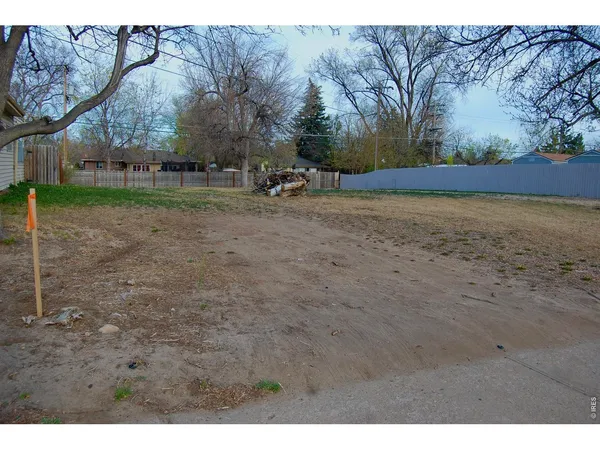 a view of a yard with a tree