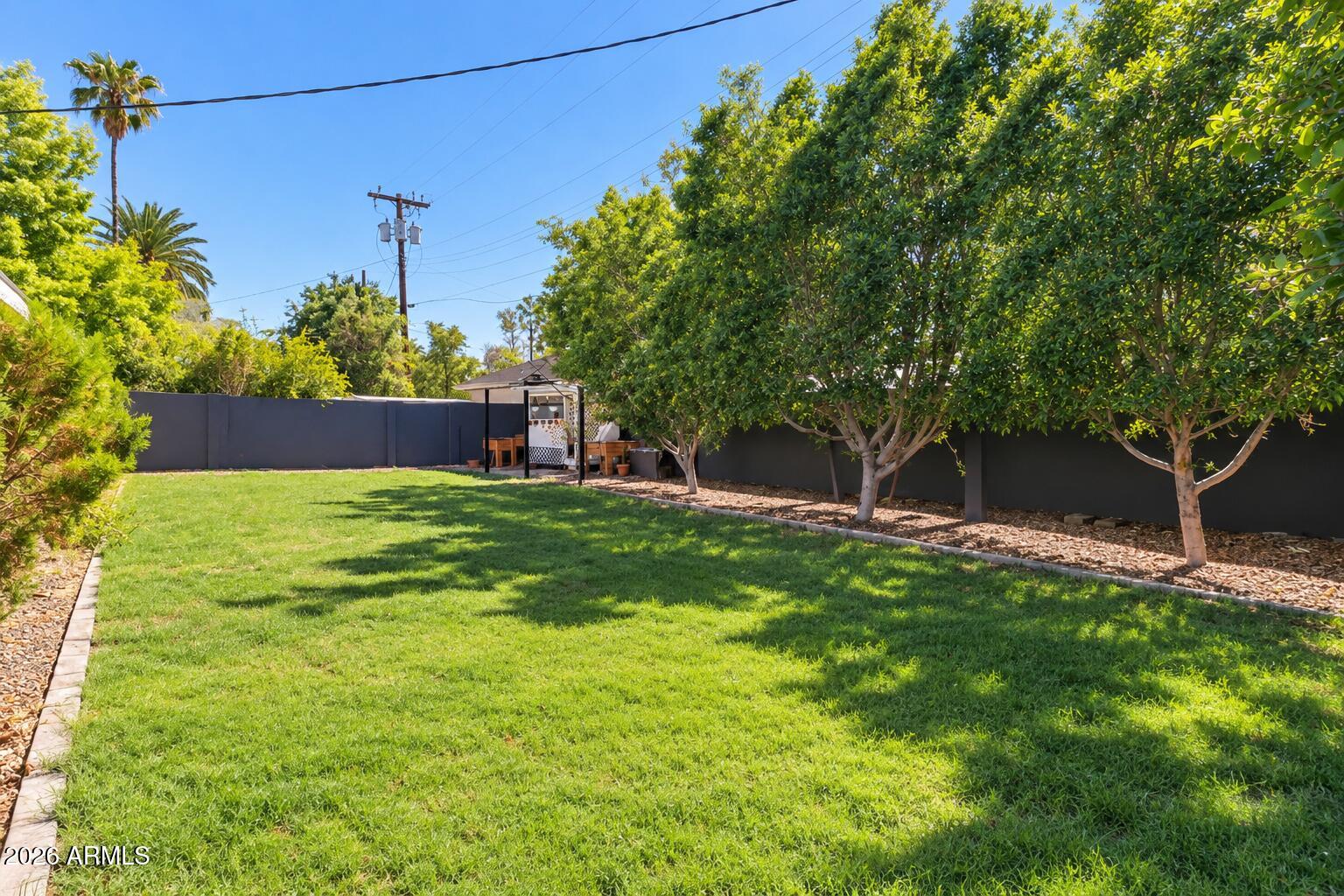 1311 West Thomas Road Phoenix, AZ 85007 - Photo 53 of 60 grass 3
