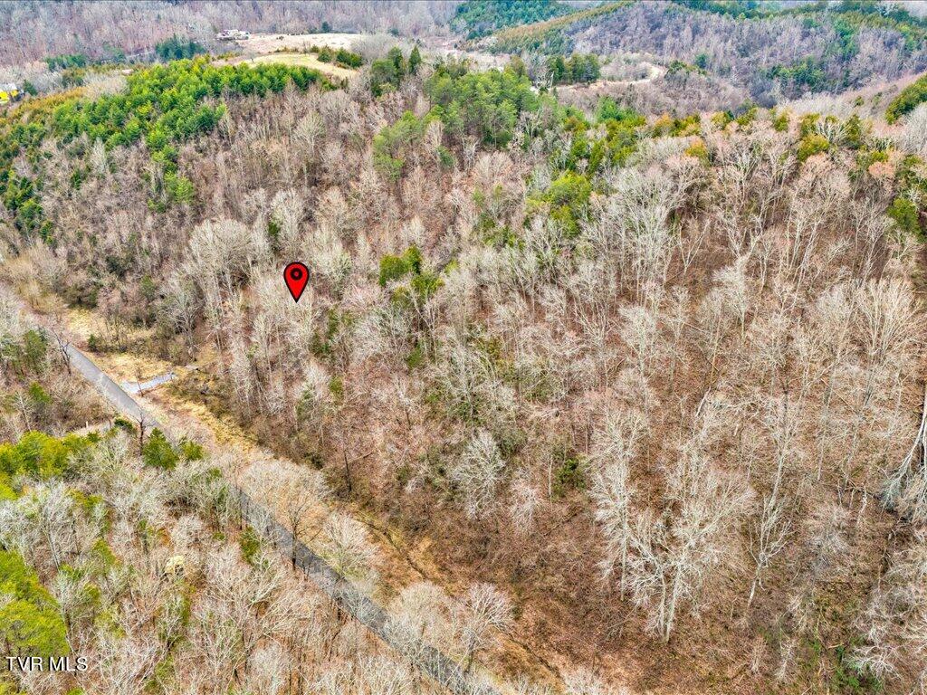 1367 Bruner Grove Road Bybee, TN 37713 - Photo 11 of 25 Bruner Grove Rd - 11