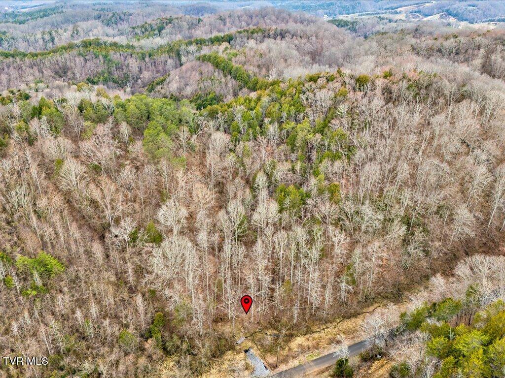 1367 Bruner Grove Road Bybee, TN 37713 - Photo 15 of 25 Bruner Grove Rd - 15