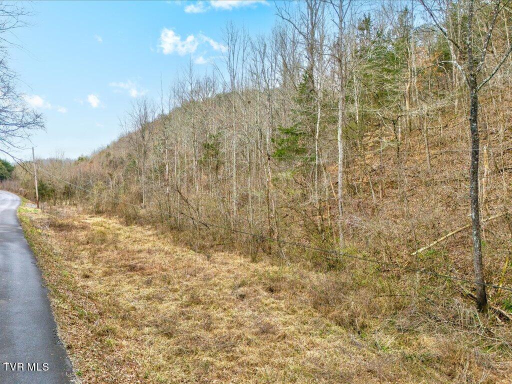 1367 Bruner Grove Road Bybee, TN 37713 - Photo 3 of 25 Bruner Grove Rd - 3