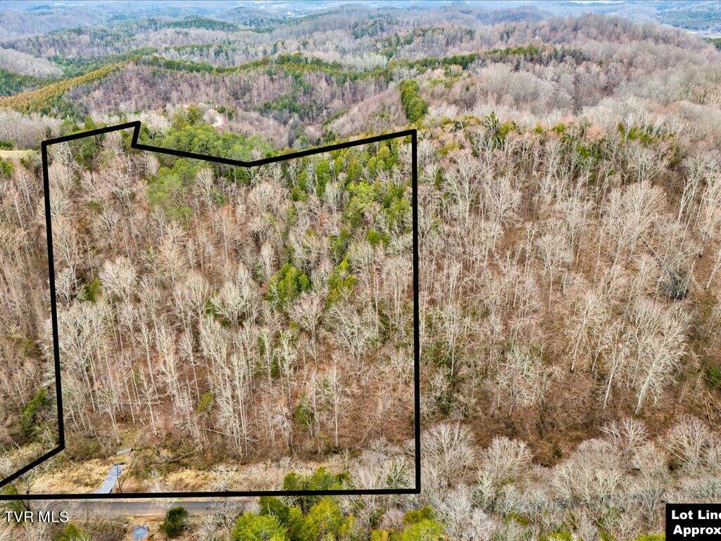 1367 Bruner Grove Road Bybee, TN 37713 - Photo 4 of 25 Bruner Grove Rd - 4