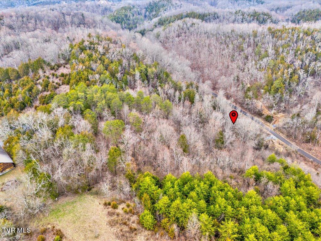 1367 Bruner Grove Road Bybee, TN 37713 - Photo 6 of 25 Bruner Grove Rd - 6