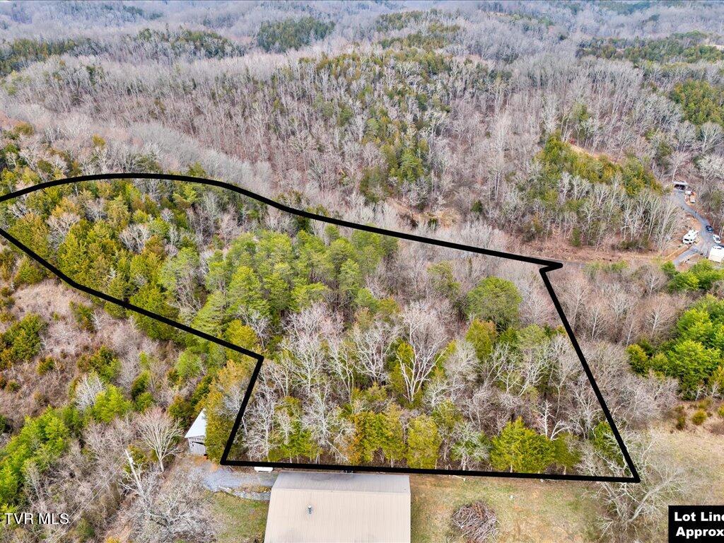 1367 Bruner Grove Road Bybee, TN 37713 - Photo 7 of 25 Bruner Grove Rd - 7