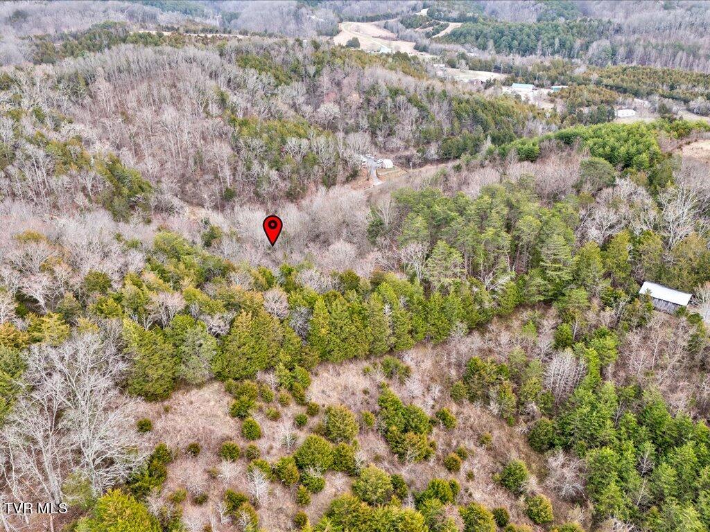 1367 Bruner Grove Road Bybee, TN 37713 - Photo 8 of 25 Bruner Grove Rd - 8