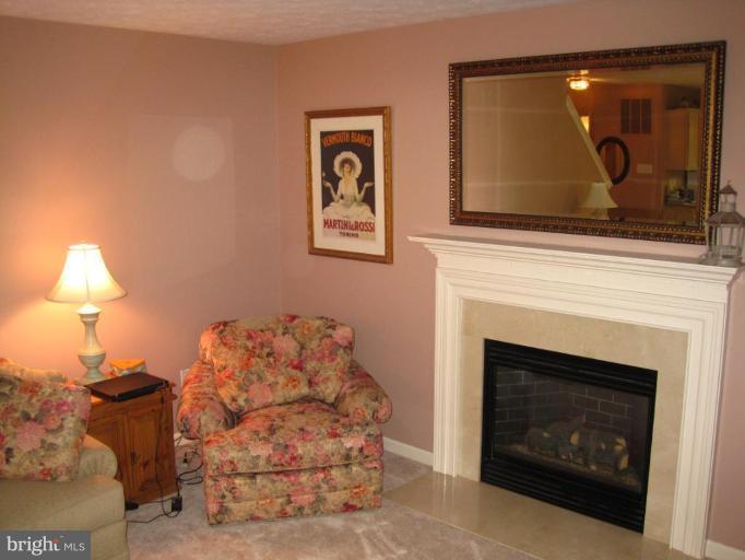 4606 Runnymeade Road Owings Mills, MD 21117 - Photo 12 of 23 Fireplace