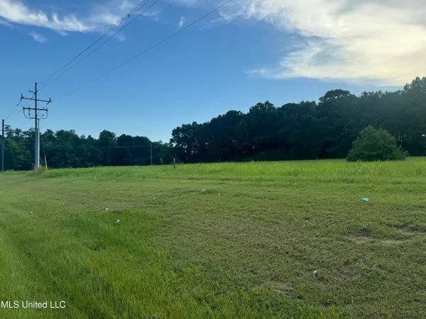 $1,400,000 | Feather Lane, Canton, MS 39046