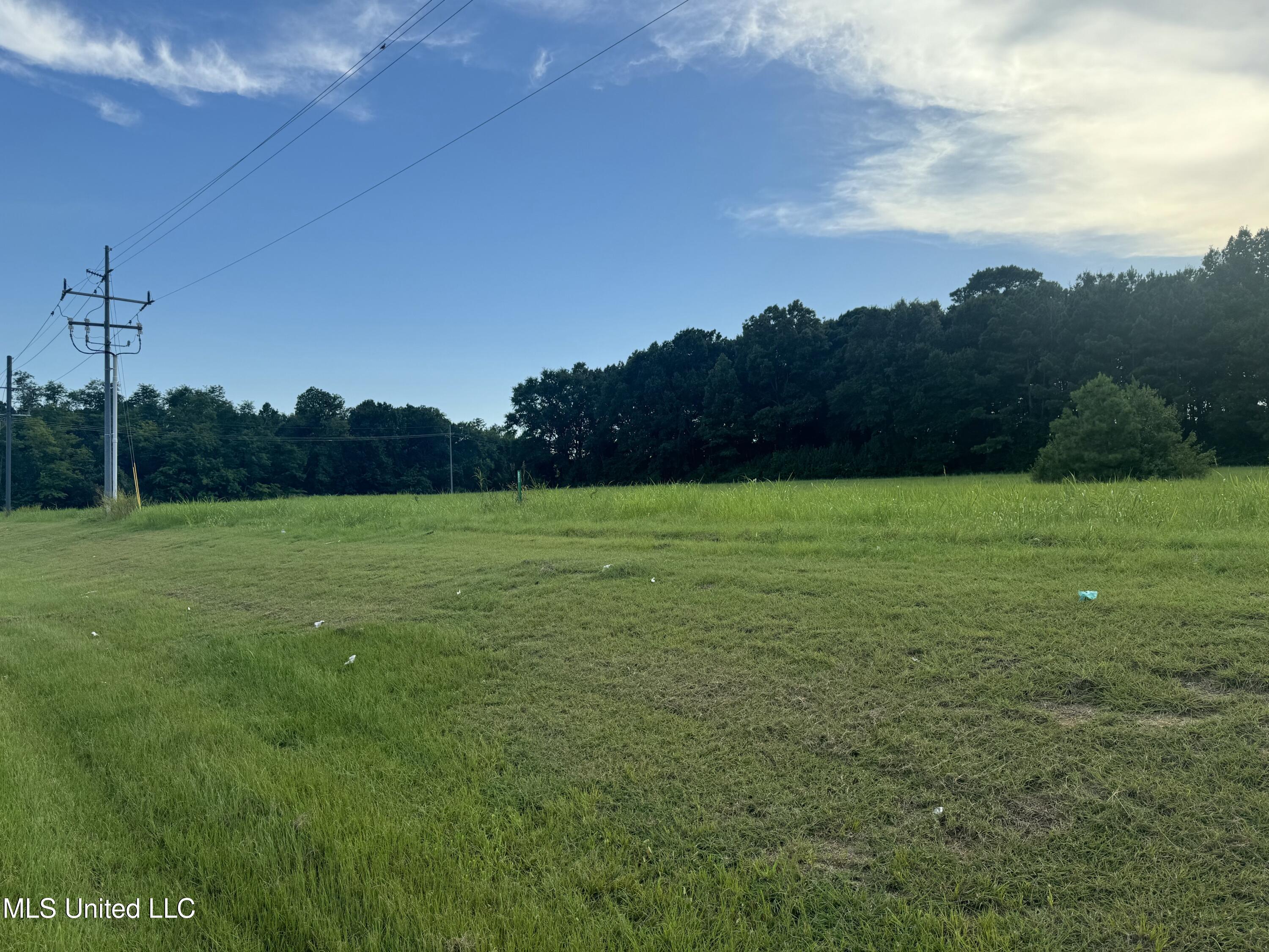 Feather Lane Canton, MS 39046 - Photo 4 of 6 IMG_1238