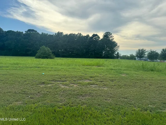 $1,400,000 | Feather Lane, Canton, MS 39046