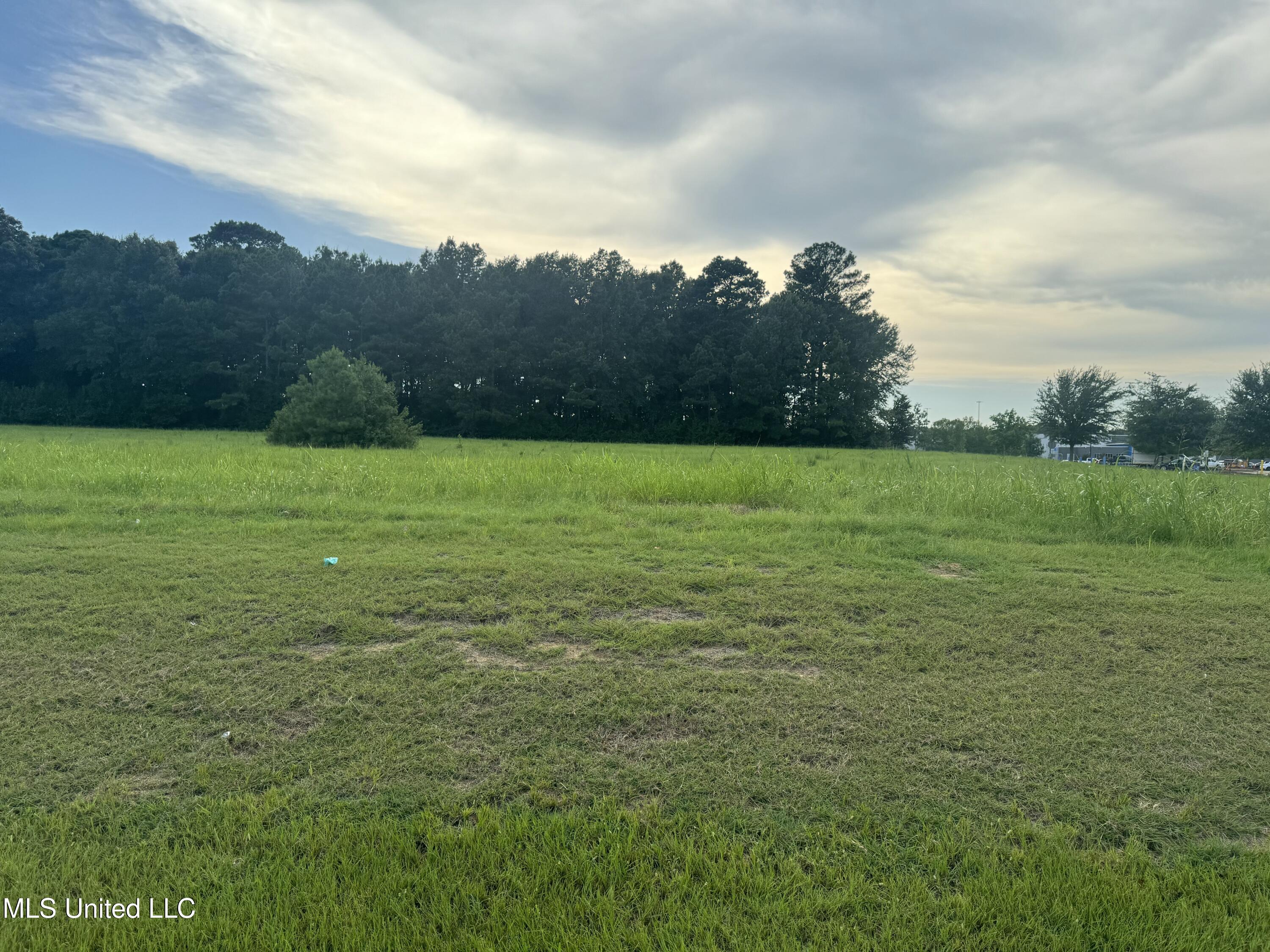 Feather Lane Canton, MS 39046 - Photo 5 of 6 IMG_1241