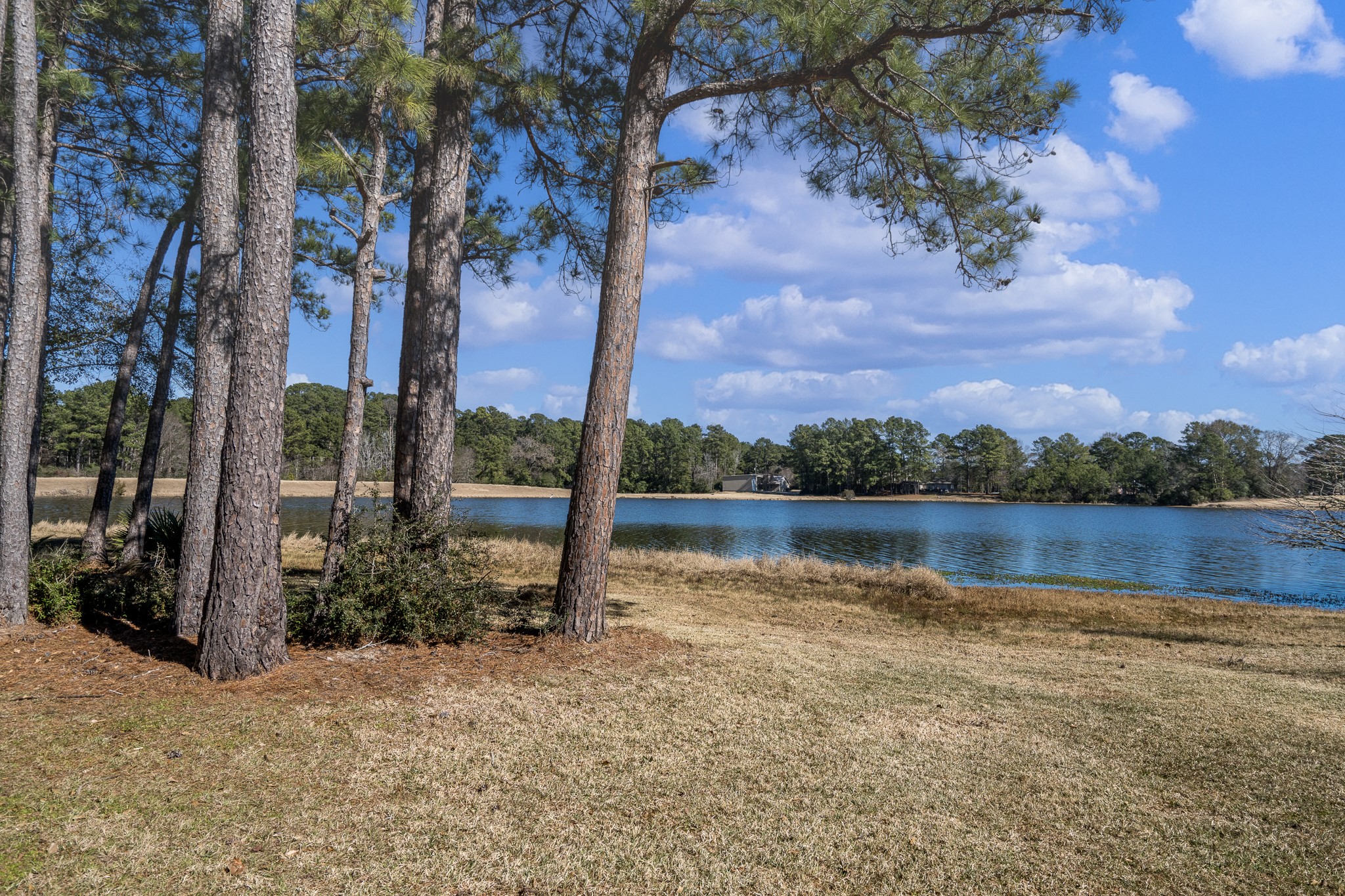 97 Greenway Drive Trinity, TX 75862 - Photo 45 of 49 a view of lake with a yard