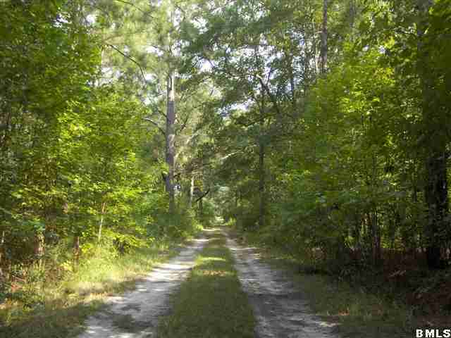 86 Twickenham Road Yemassee, SC 29945 - Photo 1 of 6 Primary Photo