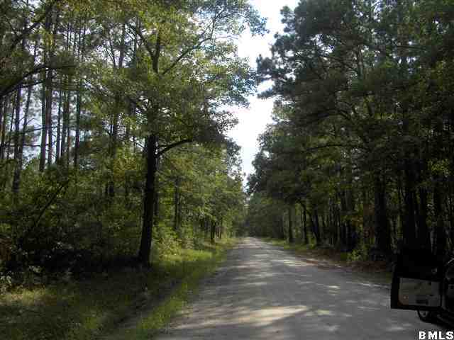 86 Twickenham Road Yemassee, SC 29945 - Photo 2 of 6 Additional Photo